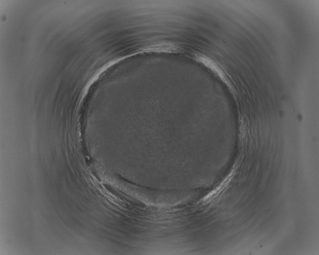 X0000070390923200606231734