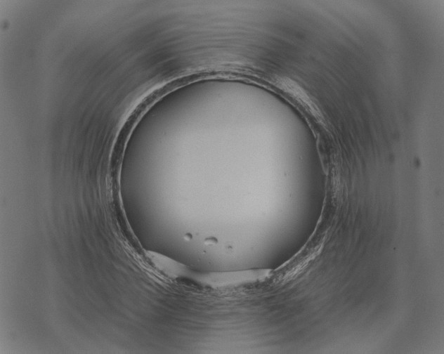 X0000070390924200606231734