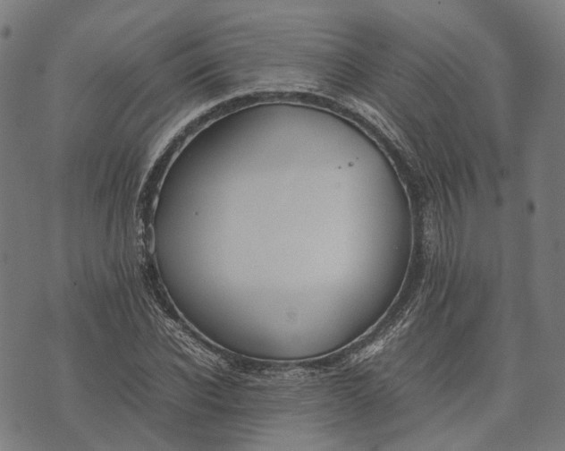 X0000070390926200606231734