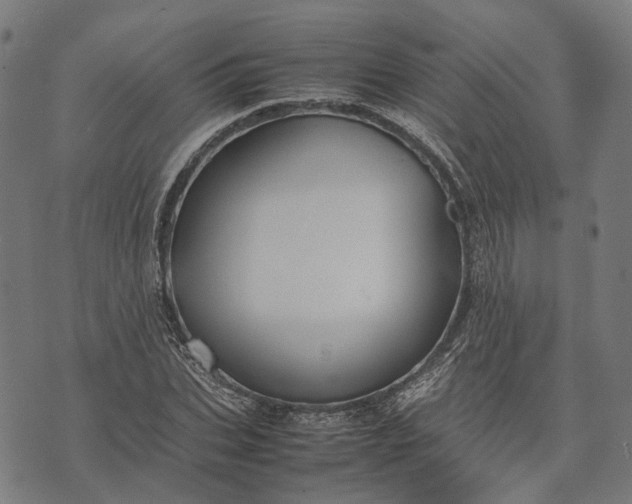 X0000070390927200606231734