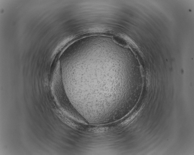 X0000070390930200606231734