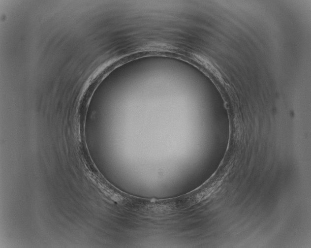 X0000070390931200606231734