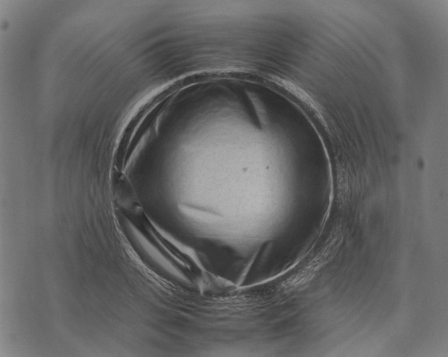 X0000070390935200606231734