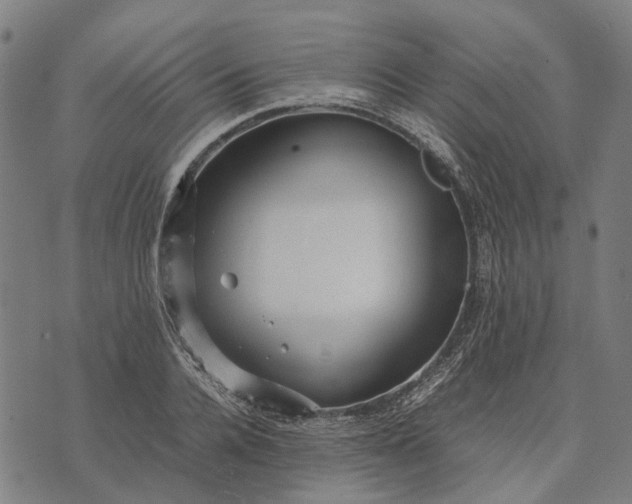 X0000070390936200606231734