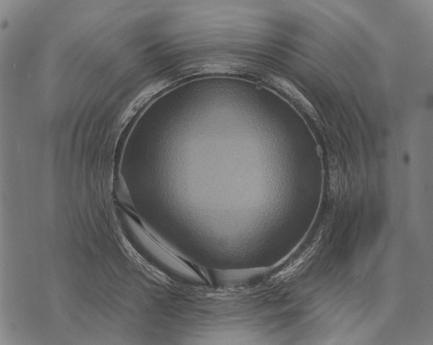 X0000070390938200606231734