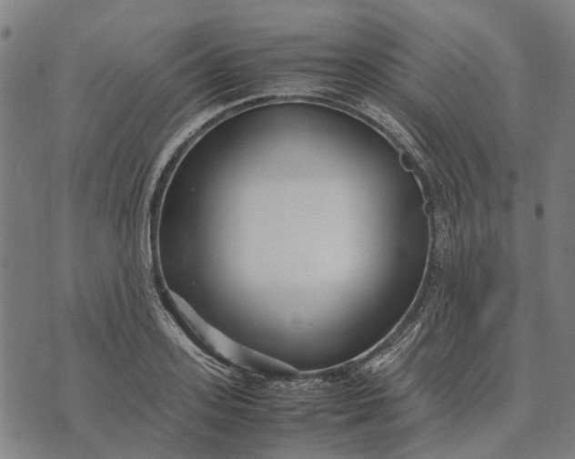 X0000070390939200606231734