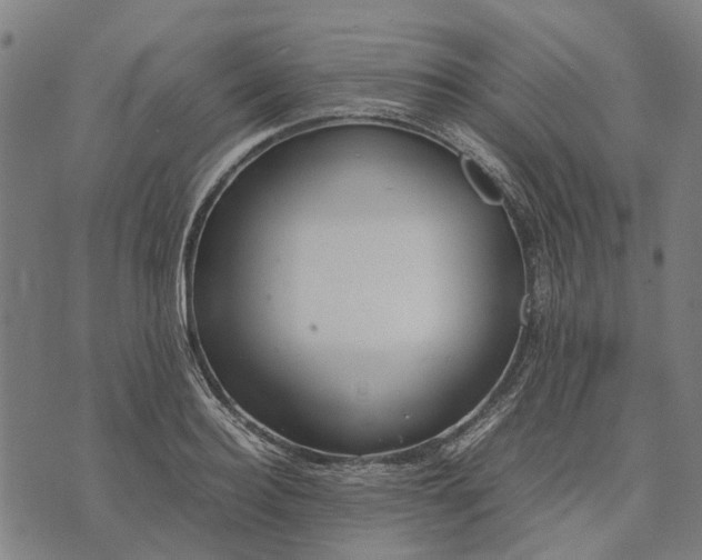 X0000070390940200606231734