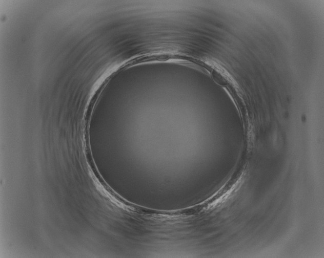 X0000070390941200606231734