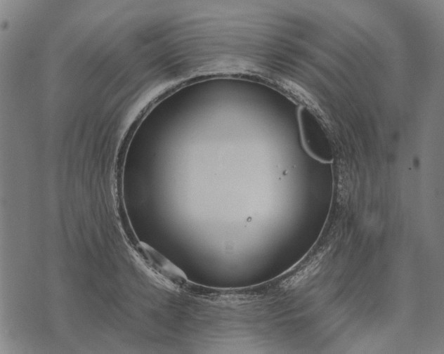 X0000070390942200606231734