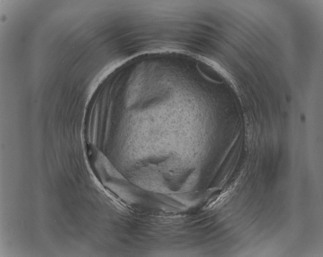 X0000070390943200606231734