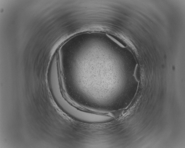 X0000070390944200606231734