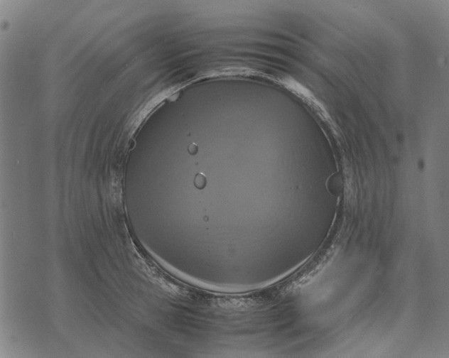 X0000070390945200606231734