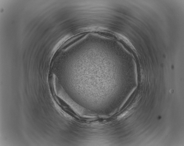 X0000070390946200606231734