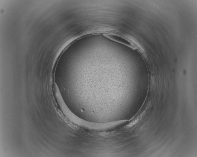 X0000070390948200606231734