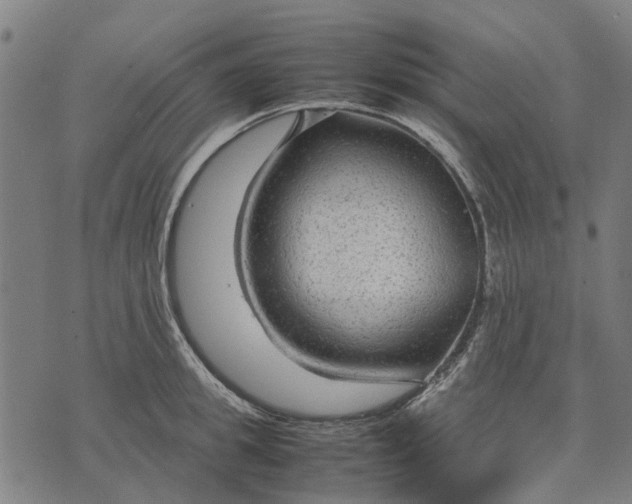 X0000070390949200606231734