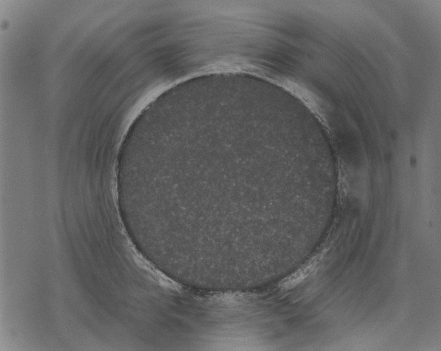 X0000070390950200606231734