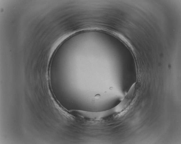 X0000070390951200606231734