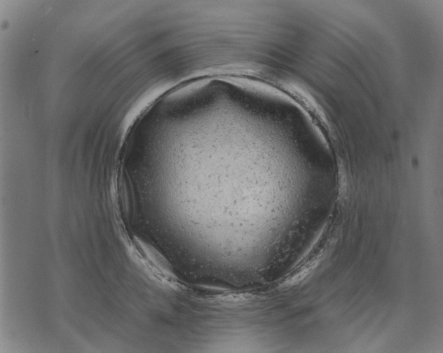 X0000070390952200606231734