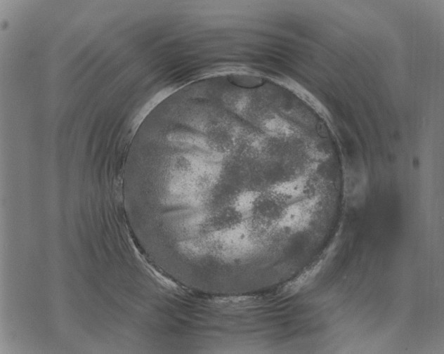 X0000070390953200606231734