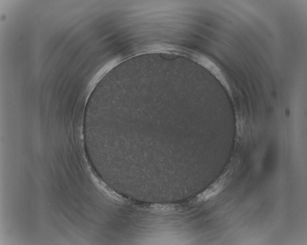 X0000070390954200606231734