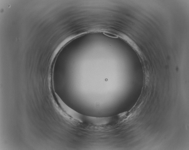 X0000070390955200606231734