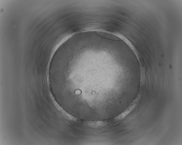 X0000070390957200606231734