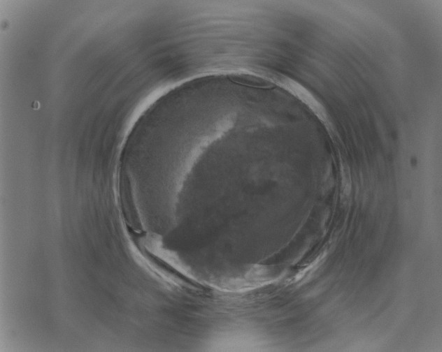 X0000070390958200606231734