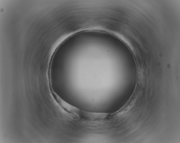 X0000070390959200606231734