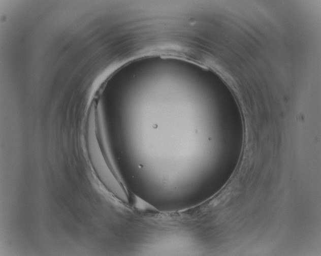 X0000070390960200606231734