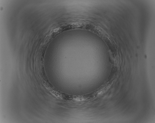 X0000070390961200606231733