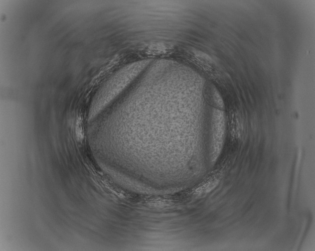 X0000070390962200606231733