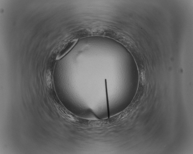 X0000070390963200606231733