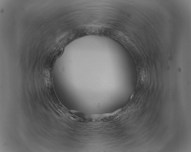 X0000070390964200606231733