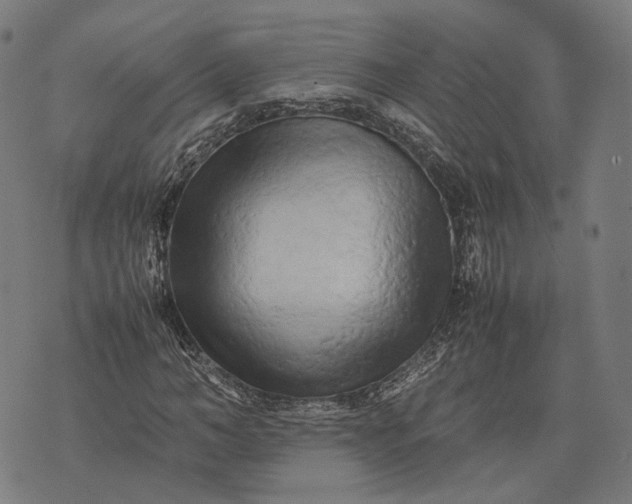 X0000070390966200606231733