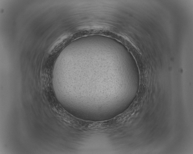 X0000070390967200606231733