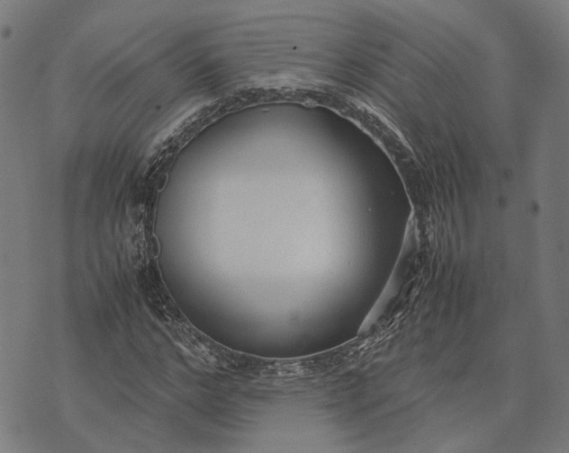 X0000070390968200606231733