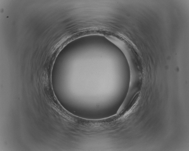 X0000070390969200606231733