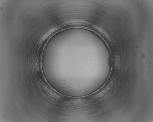 X0000070390970200606231733