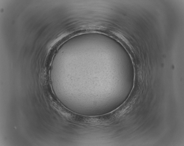 X0000070390971200606231733