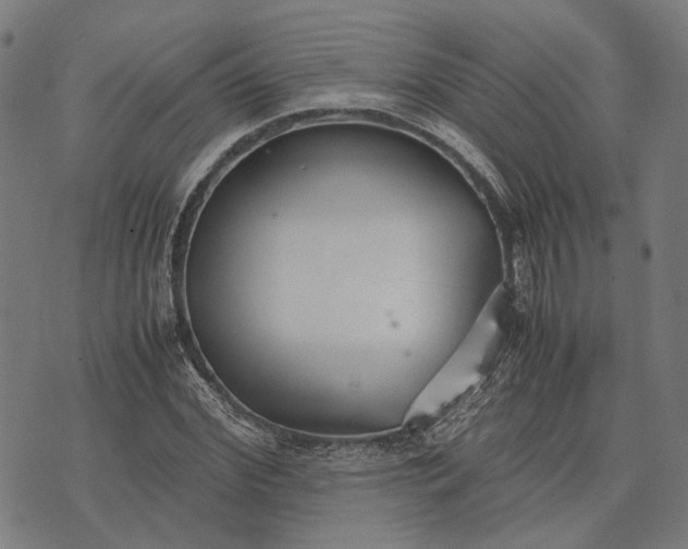 X0000070390972200606231733