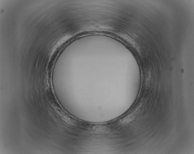 X0000070390974200606231733