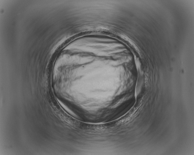 X0000070390975200606231733