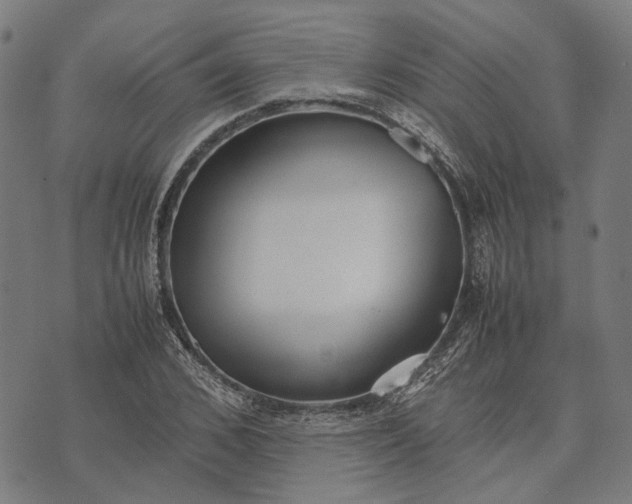 X0000070390976200606231733