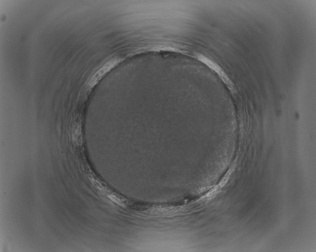 X0000070390977200606231733