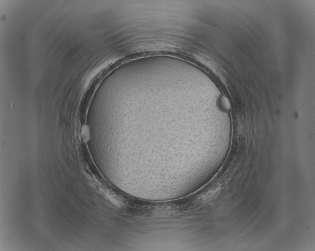 X0000070390979200606231733