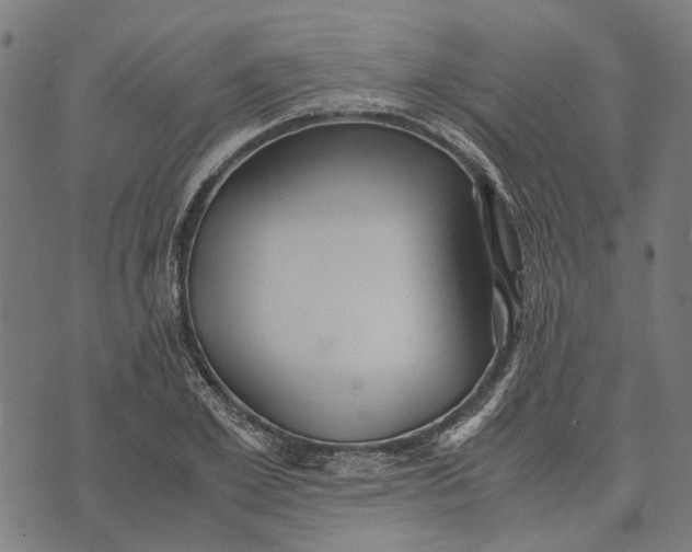 X0000070390981200606231733