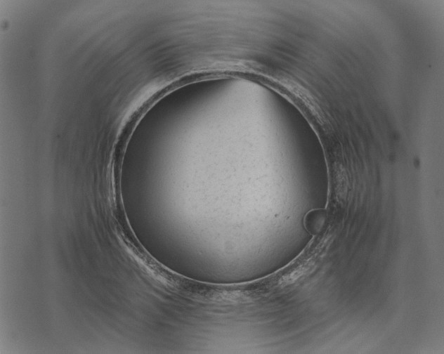 X0000070390982200606231733