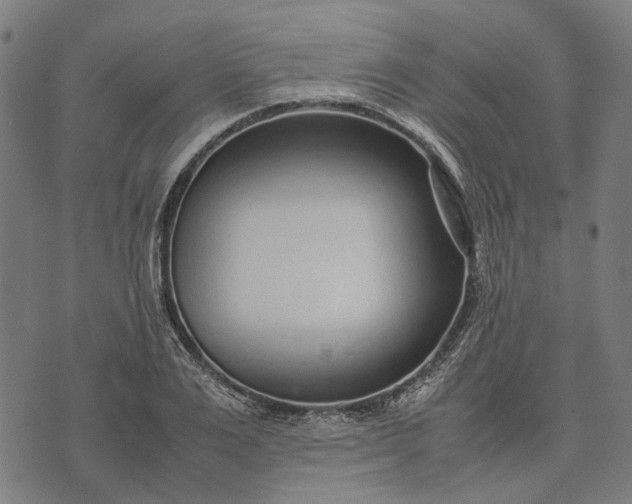 X0000070390983200606231733