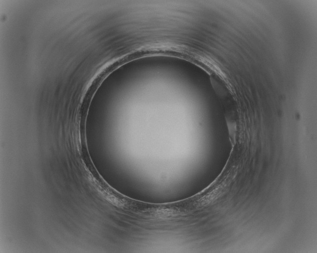 X0000070390984200606231733