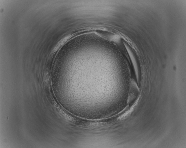 X0000070390985200606231733